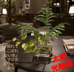 光触媒　人工観葉植物　フェイクグリーン　テーブル ベンジャミン 55cm 光触媒 人工観葉植物 フェイクグリーン テーブル ベンジャミン 55cm