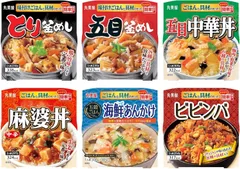 丸美屋 レンジで簡単 ごはん付きシリーズ 6食アソート 詰め合わせ とり釜めし 五目釜めし 五目中華丼 麻婆丼 五穀ごはん海鮮あんかけ ビビンバ レトルト食品 常温保存 ごはん付き 電子レンジ対応 簡単調理 時短ごはん 防災 保存食 非常食 送料無料のサムネイル