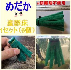 メダカ めだかの産卵床 6色計12個 研磨材なし - メルカリ
