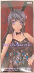 Flue BiCute Bunnies Figure 청춘 돼지 놈은 토끼 소녀 선배의 꿈을 꾸지 않는 사쿠라지마 마이