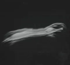 2026年最新】dir en grey 落ちた事のある空の人気アイテム - メルカリ