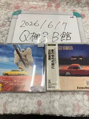 浜田省吾　セット　まとめ売り　愛の世代の前に　THE DOOR FOR THE BLUE SKYのサムネイル