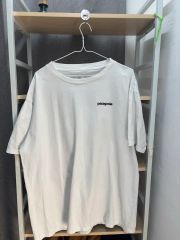 試着のみ美品パタゴニア P-6ロゴ 半袖Tシャツ＆長袖ロンT 2点セット M 