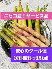 訳あり特価限定1セット！クール便☆2.5kg以上ニセコ産根曲がり竹  ネマガリタケ　姫竹　根曲り竹のサムネイル