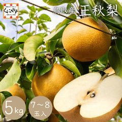 朝採れ 幸水梨 約2.5kg 6玉前後 7月20日～発送 - メルカリ