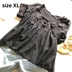 XL（LL） 【 超美品 | HUDSON / ハドソン 】 チュニック フレア 軽やかふんわりエアリー ブラック 黒 半袖 春夏 T665_2301E0093のサムネイル