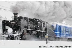 【中古】鉄道模型 1/150 12系客車 JR西日本仕様 6両セット [10-1820]のサムネイル