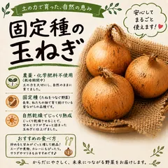 【固定種】栽培期間中 農薬・化学肥料不使用 自然栽培 玉ねぎ3キロのサムネイル