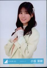 葉山風花 クリアファイル+グラビア切り抜き 月刊ドラゴンエイジ 2025年