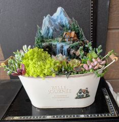 多肉植物の寄せ植え♡そのまま飾れる - メルカリ