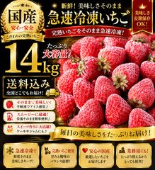 冷凍いちご 【古都華】10㎏⭐︎⭐︎ 冷凍いちご 【古都華】10㎏ - メルカリ