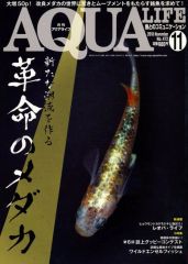 【激レア】　祐実とトコトンプレイディア　限定非売品　プレイディアソフト 中古】プレイディアソフト 祐実とトコトン プレイディア - メルカリ