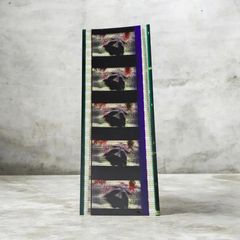 바르푸르기스의 밤 35mm 필름 프레임 [극장판 마법 소녀 마도카 ☆ 마기카] 방문자 특전