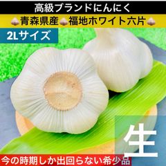 6月中旬～下旬出荷】青森県産 生にんにく L/2L 500g - メルカリ