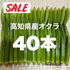 40本 高知県産 オクラ 野菜 即購入OK 産地直送 lbのサムネイル
