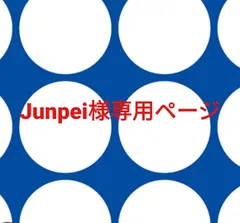 Junpei様専用ページです。のサムネイル