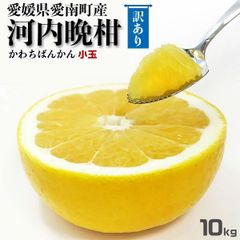 愛媛県産河内晩柑訳あり小玉10kg - メルカリ