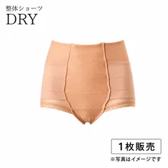 はくだけ整体 整体ショーツ DRY ドライ 骨盤ショーツ 通気性 ムレにくい 反り腰 改善 骨盤矯正 骨盤底筋 グッズ 年中使える 汗対策 ショーツ 苦しくない 補正下着 レディース 新生活【 1枚セット】 【サマーベージュ】のサムネイル