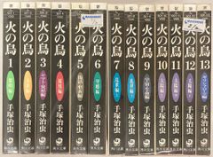 諸星大二郎 西遊妖猿伝 西域篇1-6 火焔山の章1-4 計10冊セット - メルカリ