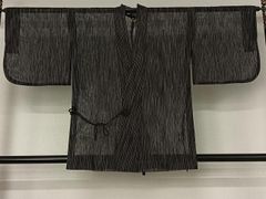 塵よけコート セミの羽根 黒地 ドット柄 - メルカリ