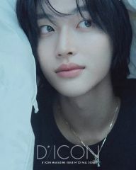 RIIZE ウォンビン DICON 写真集 Aver. トレカ マスカット - メルカリ