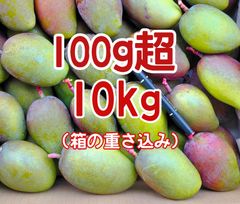 摘果マンゴー 約5kg 加工用 青/グリーン 訳あり - メルカリ