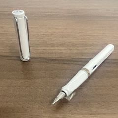 海外ペンショー・国内ペンショー限定モデル NAGASAWA限定万年筆「霜冴