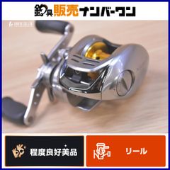 Daiwa AGGREST PE 100HL ベイトリール 本体 - メルカリ