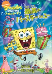THE BIRTHDAY/LIVE AT NIPPON BUDOKAN DVD - メルカリ