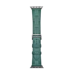 HERMES エルメス Apple Watch アップルウォッチ キリム ウォッチバンド グリーン バンド フルオロエラストマー メンズ レディースのサムネイル