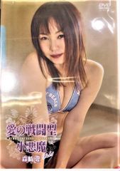 DVD9点セット/まとめ売り/韓国・中国ドラマ/嘘つきな恋人/欠点ある恋人