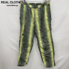 【未使用】Supreme×THE NORTH FACE/シュプリーム×ノースフェイス【18SS】Face Snakeskin Taped Seam Pant/ナイロン パンツ/NP11804I/Lのサムネイル