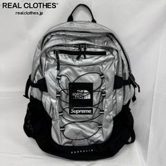 Supreme×THE NORTH FACE/シュプリーム×ノースフェイス【18SS】Metallic 