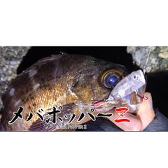 オーダー受付ページ】WSP 形状記憶 数釣り最強！超万能ルアー - メルカリ