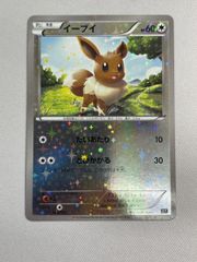 イーブイ ミラー THE BEST OF XY 100/171 - メルカリ