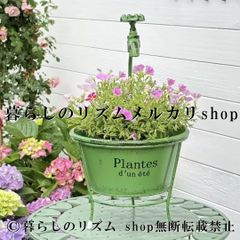 Demain ドマン イタリー 木製プランター ワゴン 木製 フラワーベース 
