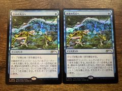 MTG 吸血の教示者 日本語 foil シルバースクロール・foil SOA 日本画