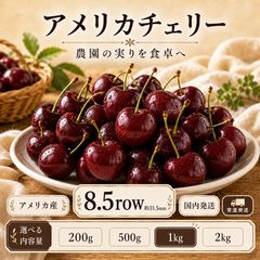 ゆ*☆様 アメリカンチェリー 8キロ 11.5R - メルカリ