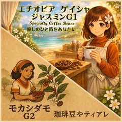 エチオピア】モカ・シダモG4⑤ コーヒー生豆 1.5kg - メルカリ