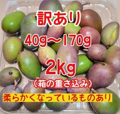 摘果マンゴー 約5kg 加工用 青/グリーン 訳あり - メルカリ