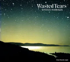 2026年最新】WASTED TEARS [ 浜田省吾 ]の人気アイテム - メルカリ