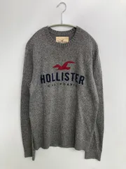 HOLLISTER ホリスター ニット/セーター S グレー コットン ニット 無地 前面プリント ブランドロゴ 刺繍 ミドル丈 長袖 クルーネック(丸首) メンズのサムネイル