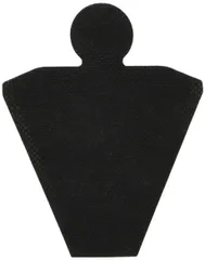 アイリスオーヤマ 布団クリーナー 別売使い捨てフィルター お掃除簡単 【対応 IC-FAC2／FAC3 他】 25枚入り CF-FT1 1のサムネイル