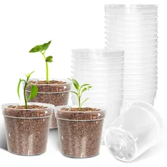 【新着商品】おしゃれ育苗ポット 多肉・観葉植物用 30個セット 軽量プラスチックポット 2号 透明プランター 種蒔き・苗ポット 透明植物鉢 プラ鉢（クリア、30個入り）のサムネイル