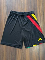 AESTHETIC ショートパンツ 柔術ショーツ Lサイズ 未使用 - メルカリ