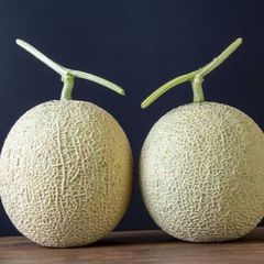 本日限定特価】夕張メロン個選品7玉8kg箱 1玉1.1kg前後※送料一律常温便