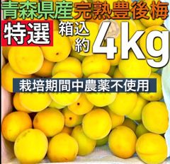 1024【秀品】特大4L2kg 梅干し用完熟南高梅 キルトパッチ梅店 - メルカリ