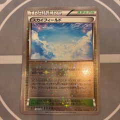【最安値】スカイフィールド xy ミラー 3枚セット まとめ売り エクストラ スカイフィールド ミラー 3枚 - メルカリ