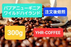 16パプアニューギニア ワイルドハイランドウォッシュド200g農薬化学
