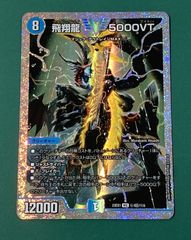 5000vt cs優勝プロモ 1枚 - メルカリ